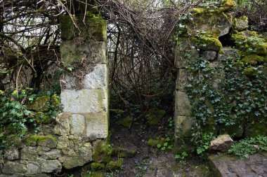 Eski köyleri ele geçiren bitkilerin çeşitliliği. Duvarlarda, merdivenlerde, borularda, girişlerde, farklı yapılarda, nehirlerde, yollarda ve daha fazlasında. Çoğunlukla yabani bitkilerde. Eski Fransız köylerinde vuruldu..