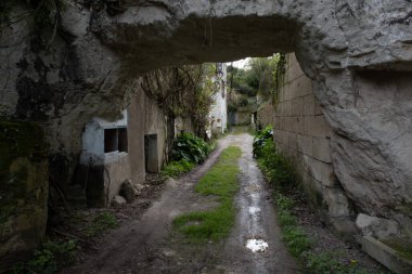 Eski köyleri ele geçiren bitkilerin çeşitliliği. Duvarlarda, merdivenlerde, borularda, girişlerde, farklı yapılarda, nehirlerde, yollarda ve daha fazlasında. Çoğunlukla yabani bitkilerde. Eski Fransız köylerinde vuruldu..