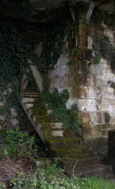 Eski köyleri ele geçiren bitkilerin çeşitliliği. Duvarlarda, merdivenlerde, borularda, girişlerde, farklı yapılarda, nehirlerde, yollarda ve daha fazlasında. Çoğunlukla yabani bitkilerde. Eski Fransız köylerinde vuruldu..