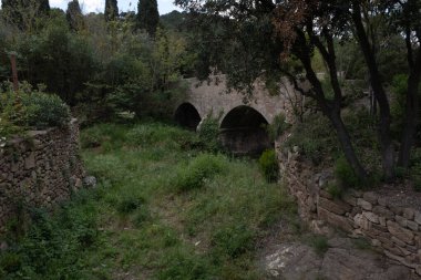 Eski köyleri ele geçiren bitkilerin çeşitliliği. Duvarlarda, merdivenlerde, borularda, girişlerde, farklı yapılarda, nehirlerde, yollarda ve daha fazlasında. Çoğunlukla yabani bitkilerde. Eski Fransız köylerinde vuruldu..