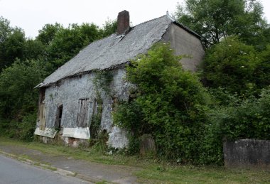 Eski köyleri ele geçiren bitkilerin çeşitliliği. Duvarlarda, merdivenlerde, borularda, girişlerde, farklı yapılarda, nehirlerde, yollarda ve daha fazlasında. Çoğunlukla yabani bitkilerde. Eski Fransız köylerinde vuruldu..