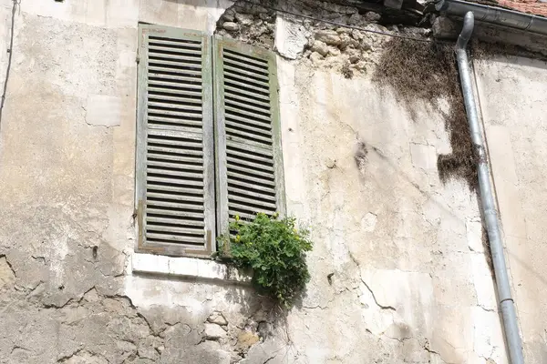 Eski köyleri ele geçiren bitkilerin çeşitliliği. Duvarlarda, merdivenlerde, borularda, girişlerde, farklı yapılarda, nehirlerde, yollarda ve daha fazlasında. Çoğunlukla yabani bitkilerde. Eski Fransız köylerinde vuruldu..