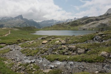 Pireneler, Fransa 'da bulunan doğal çeşitlilik. Yükseklikte tırmanırken gözlemlenen bitki katmanlarının çeşitliliği.