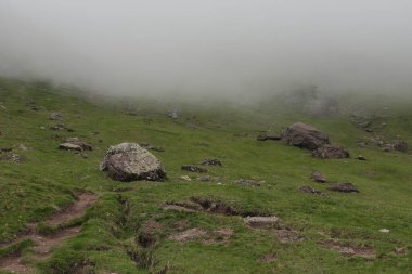Pireneler, Fransa 'da bulunan doğal çeşitlilik. Yükseklikte tırmanırken gözlemlenen bitki katmanlarının çeşitliliği.