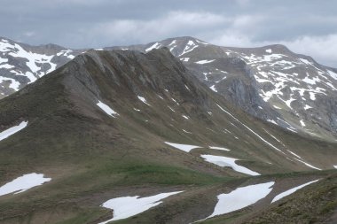 Pireneler, Fransa 'da bulunan doğal çeşitlilik. Yükseklikte tırmanırken gözlemlenen bitki katmanlarının çeşitliliği.