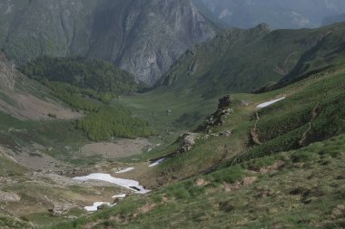 Pireneler, Fransa 'da bulunan doğal çeşitlilik. Yükseklikte tırmanırken gözlemlenen bitki katmanlarının çeşitliliği.