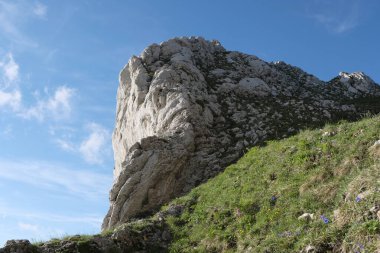 Vercors Vadisi, Fransa 'da bulunan doğal çeşitlilik. Yükseklikte tırmanırken gözlemlenen bitki katmanlarının çeşitliliği.