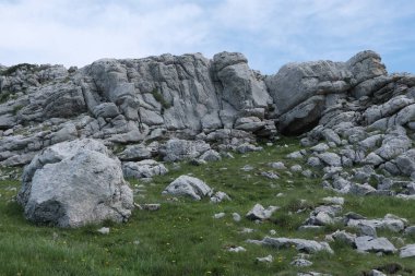 Vercors Vadisi, Fransa 'da bulunan doğal çeşitlilik. Yükseklikte tırmanırken gözlemlenen bitki katmanlarının çeşitliliği.