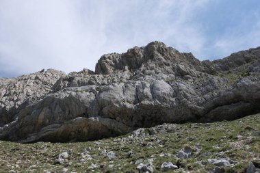 Vercors Vadisi, Fransa 'da bulunan doğal çeşitlilik. Yükseklikte tırmanırken gözlemlenen bitki katmanlarının çeşitliliği.