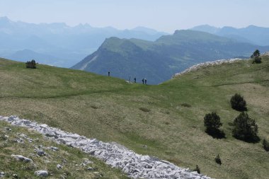 Vercors Vadisi, Fransa 'da bulunan doğal çeşitlilik. Yükseklikte tırmanırken gözlemlenen bitki katmanlarının çeşitliliği.