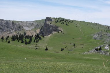 Vercors Vadisi, Fransa 'da bulunan doğal çeşitlilik. Yükseklikte tırmanırken gözlemlenen bitki katmanlarının çeşitliliği.