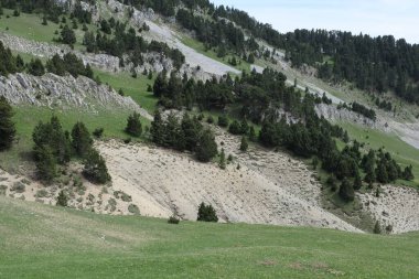 Vercors Vadisi, Fransa 'da bulunan doğal çeşitlilik. Yükseklikte tırmanırken gözlemlenen bitki katmanlarının çeşitliliği.