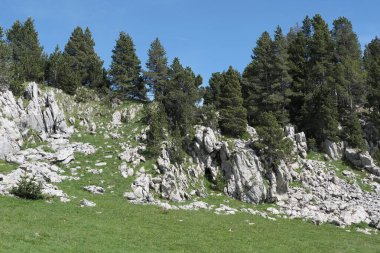 Vercors Vadisi, Fransa 'da bulunan doğal çeşitlilik. Yükseklikte tırmanırken gözlemlenen bitki katmanlarının çeşitliliği.
