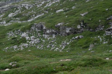 Alpler vadileri. Çoğunlukla Vanoise Vadisi, Fransa 'da çekildi. 7 günlük yürüyüş mesafesinde çekilmiş.. 