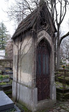 Kışın bitkilere tırmanıyor, çeşitli elementleri ele geçiriyordu. Köy ve mezarlık alanlarında vuruldu.