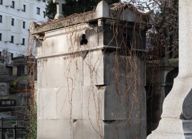 Kışın bitkilere tırmanıyor, çeşitli elementleri ele geçiriyordu. Köy ve mezarlık alanlarında vuruldu.