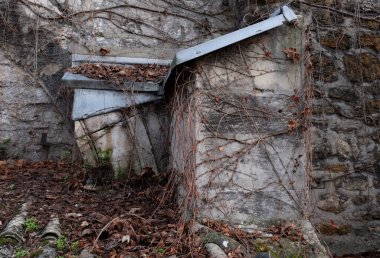 Kışın bitkilere tırmanıyor, çeşitli elementleri ele geçiriyordu. Köy ve mezarlık alanlarında vuruldu.