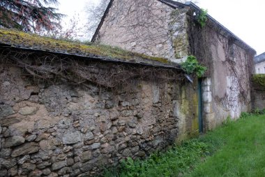 Kışın bitkilere tırmanıyor, çeşitli elementleri ele geçiriyordu. Köy ve mezarlık alanlarında vuruldu.