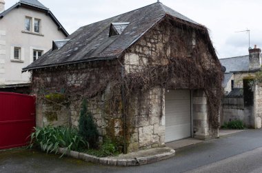 Kışın bitkilere tırmanıyor, çeşitli elementleri ele geçiriyordu. Köy ve mezarlık alanlarında vuruldu.