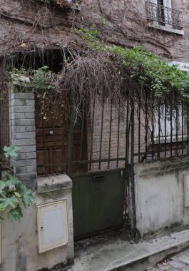 Kışın bitkilere tırmanıyor, çeşitli elementleri ele geçiriyordu. Köy ve mezarlık alanlarında vuruldu.