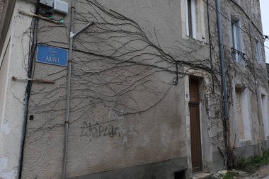 Kışın bitkilere tırmanıyor, çeşitli elementleri ele geçiriyordu. Köy ve mezarlık alanlarında vuruldu.