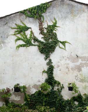 Çeşitli elementleri ele geçiren tırmanma tesisleri. Köy ve mezarlık alanlarında vuruldu.