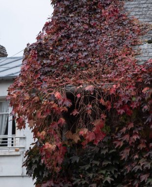 Çeşitli elementleri ele geçiren tırmanma tesisleri. Köy ve mezarlık alanlarında vuruldu.