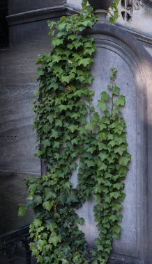 Çeşitli elementleri ele geçiren tırmanma tesisleri. Köy ve mezarlık alanlarında vuruldu.