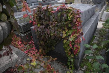 Çeşitli elementleri ele geçiren tırmanma tesisleri. Köy ve mezarlık alanlarında vuruldu.