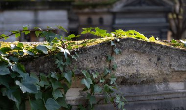 Çeşitli elementleri ele geçiren tırmanma tesisleri. Köy ve mezarlık alanlarında vuruldu.