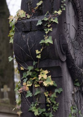 Çeşitli elementleri ele geçiren tırmanma tesisleri. Köy ve mezarlık alanlarında vuruldu.