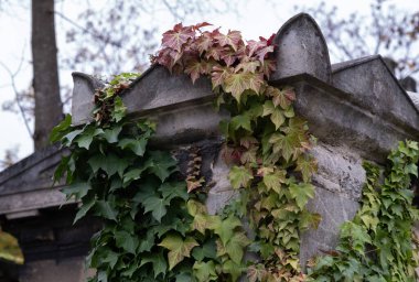 Çeşitli elementleri ele geçiren tırmanma tesisleri. Köy ve mezarlık alanlarında vuruldu.