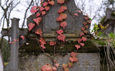Çeşitli elementleri ele geçiren tırmanma tesisleri. Köy ve mezarlık alanlarında vuruldu.