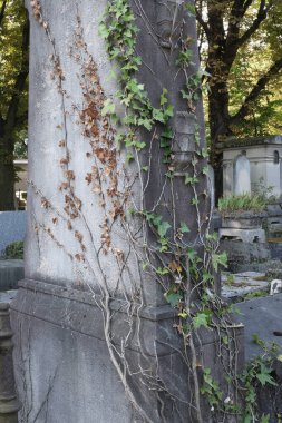 Çeşitli elementleri ele geçiren tırmanma tesisleri. Köy ve mezarlık alanlarında vuruldu.