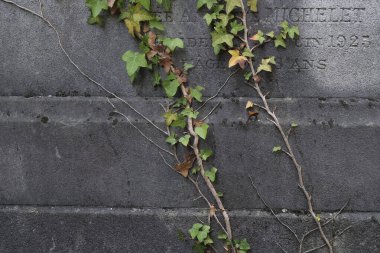 Çeşitli elementleri ele geçiren tırmanma tesisleri. Köy ve mezarlık alanlarında vuruldu.