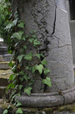 Çeşitli elementleri ele geçiren tırmanma tesisleri. Köy ve mezarlık alanlarında vuruldu.
