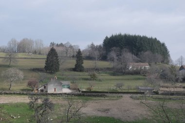 Kış boyunca doğadaki ağaçlar. Çeşitli türler.