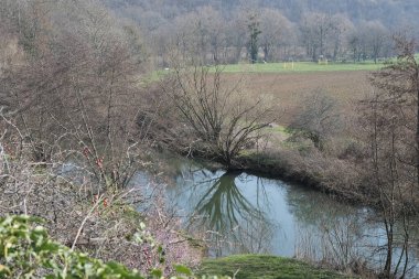 Kış boyunca doğadaki ağaçlar. Çeşitli türler.