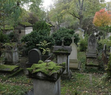 Eski bir mezarlığı ele geçiren bitki çeşitliliği. Mezar taşlarına, yere, merdivenlere, patikalara vs. Montparnasse ve Pere Lachaise (Paris, Fransa).