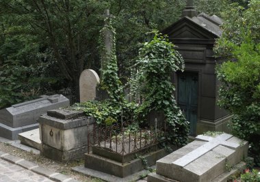 Eski bir mezarlığı ele geçiren bitki çeşitliliği. Mezar taşlarına, yere, merdivenlere, patikalara vs. Montparnasse ve Pere Lachaise (Paris, Fransa).