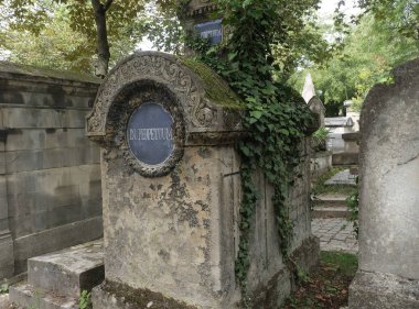 Eski bir mezarlığı ele geçiren bitki çeşitliliği. Mezar taşlarına, yere, merdivenlere, patikalara vs. Montparnasse ve Pere Lachaise (Paris, Fransa).