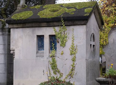 Eski bir mezarlığı ele geçiren bitki çeşitliliği. Mezar taşlarına, yere, merdivenlere, patikalara vs. Montparnasse ve Pere Lachaise (Paris, Fransa).