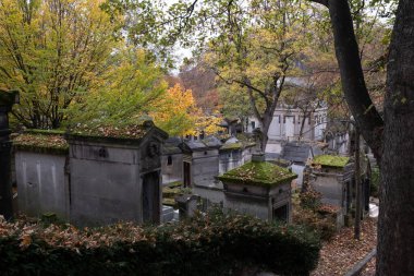 Eski bir mezarlığı ele geçiren bitki çeşitliliği. Mezar taşlarına, yere, merdivenlere, patikalara vs. Montparnasse ve Pere Lachaise (Paris, Fransa).