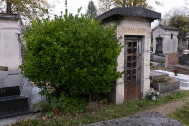 Eski bir mezarlığı ele geçiren bitki çeşitliliği. Mezar taşlarına, yere, merdivenlere, patikalara vs. Montparnasse ve Pere Lachaise (Paris, Fransa).