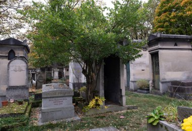 Eski bir mezarlığı ele geçiren bitki çeşitliliği. Mezar taşlarına, yere, merdivenlere, patikalara vs. Montparnasse ve Pere Lachaise (Paris, Fransa).