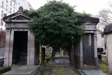 Eski bir mezarlığı ele geçiren bitki çeşitliliği. Mezar taşlarına, yere, merdivenlere, patikalara vs. Montparnasse ve Pere Lachaise (Paris, Fransa).