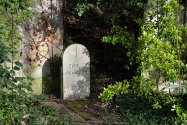 Eski bir mezarlığı ele geçiren bitki çeşitliliği. Mezar taşlarına, yere, merdivenlere, patikalara vs. Montparnasse ve Pere Lachaise (Paris, Fransa).
