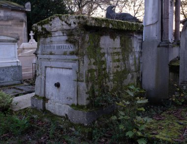 Eski bir mezarlığı ele geçiren bitki çeşitliliği. Mezar taşlarına, yere, merdivenlere, patikalara vs. Montparnasse ve Pere Lachaise (Paris, Fransa).