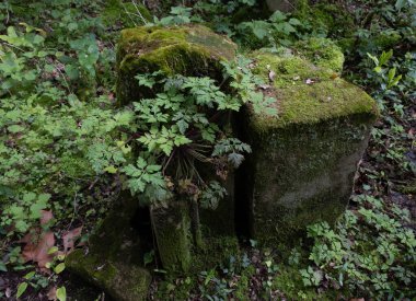 Fransa, La Mothe-Chaninkar 'ın Rönesans kalesi. Fransa 'nın 