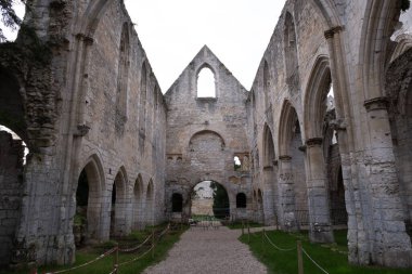 Jumieges manastırı kalıntıları, ilk milenyumdan kalma ve Fransa 'da yer alıyor..